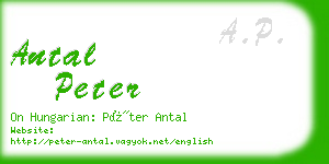 antal peter business card